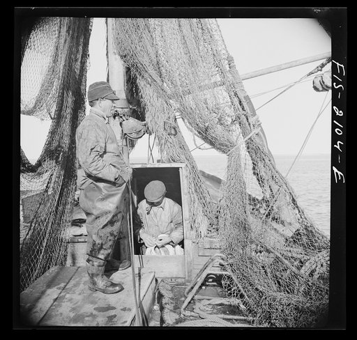 Untitled photo, possibly related to: Provincetown, Massachusetts. Aboard the Frances and Marion, a Portuguese drag trawler, fishing off Cape Cod. Homeward bound from the banks, the drag nets are hoisted aloft to dry