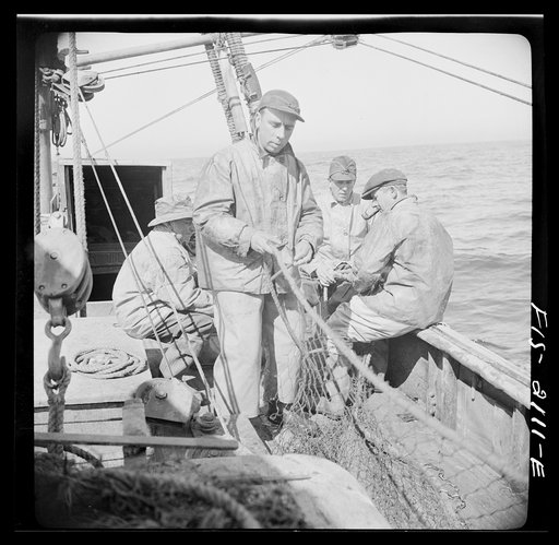 Provincetown, Massachusetts. Aboard the Frances and Marion, a Portuguese drag trawler, fishing off Cape Cod. The trawls are constantly being repaired; while one net is down all hands turn to mending a second one
