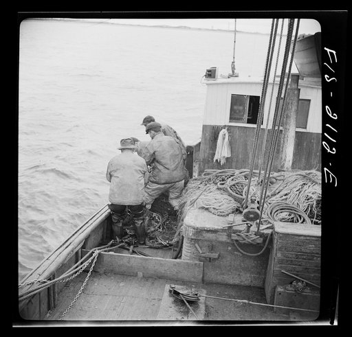 Untitled photo, possibly related to: Provincetown, Massachusetts. The trawl is constantly under repair, and while one net is down, a second is being mended by all hands aboard the Portuguese drag trawler, Francis and Marion