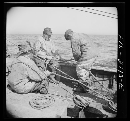 Provincetown, Massachusetts. The trawl is constantly under repair, and while one net is down, a second is being mended by all hands aboard the Portuguese drag trawler, Francis and Marion