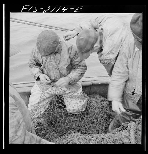 Untitled photo, possibly related to: Provincetown, Massachusetts. The trawl is constantly under repair, and while one net is down, a second is being mended by all hands aboard the Portuguese drag trawler, Francis and Marion