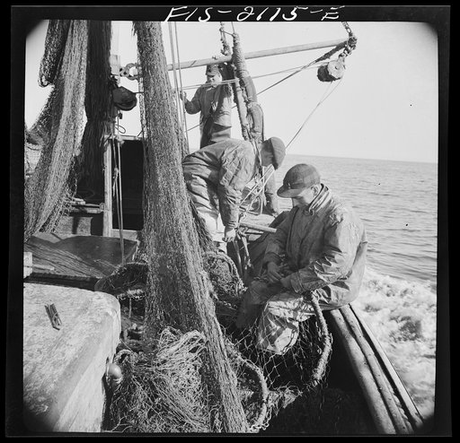 Provincetown, Massachusetts. The trawl is constantly under repair, and while one net is down, a second is being mended by all hands aboard the Portuguese drag trawler, Francis and Marion