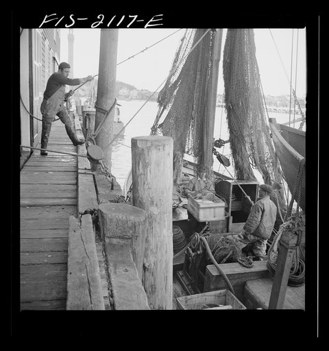 Untitled photo, possibly related to: Provincetown, Massachusetts. Hoisting fish from the ice hold of a Portuguese trawler to the packing house dock