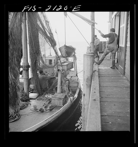 Untitled photo, possibly related to: Provincetown, Massachusetts. Hoisting fish from the ice hold of a Portuguese trawler to the packing house dock