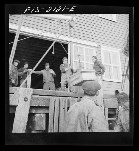 Provincetown, Massachusetts. Hoisting fish from the ice hold of a Portuguese trawler to the packing house dock
