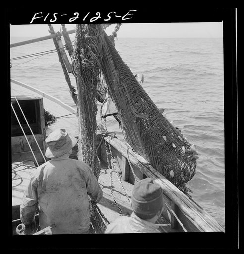 Provincetown, Massachusetts. Aboard the Frances and Marion, a Portuguese drag trawler, fishing off Cape Cod. The trawl coming aboard