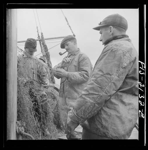 Provincetown, Massachusetts. The trawl is constantly under repair, and while one net is down a second is being mended by all hands aboard the Portuguese drag trawler, Francis and Marion