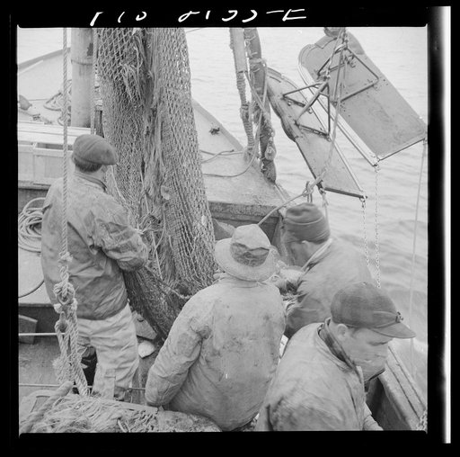Provincetown, Massachusetts. Fishermen aboard the Portuguese drag trawler, Francis and Marion, sending a net