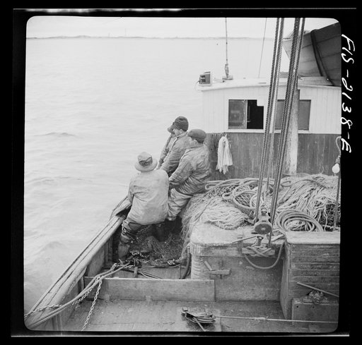 Provincetown, Massachusetts. Aboard the Frances and Marion, a Portuguese drag trawler, fishing off Cape Cod. All hands hauling in the trawl