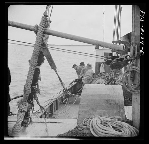 Provincetown, Massachusetts. Aboard the Frances and Marion, a Portuguese drag trawler, fishing off Cape Cod. All hands hauling in the trawl