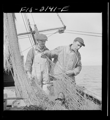 Provincetown, Massachusetts. The trawl is constantly under repair, and while one net is down a second is being mended by all hands aboard the Portuguese drag trawler, Francis and Marion