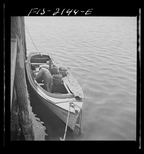 Provincetown, Massachusetts. A Portuguese dory fisherman bound for his anchorage after delivering his catch to the fishpacking plant
