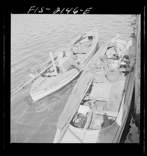 Provincetown, Massachusetts. Portuguese dory fishermen alongside the commercial pier after their day's work
