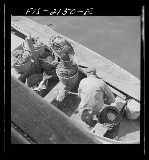 Provincetown, Massachusetts. Loading fish into tubs to be hoisted aloft from a Portuguese dory to the commercial pier