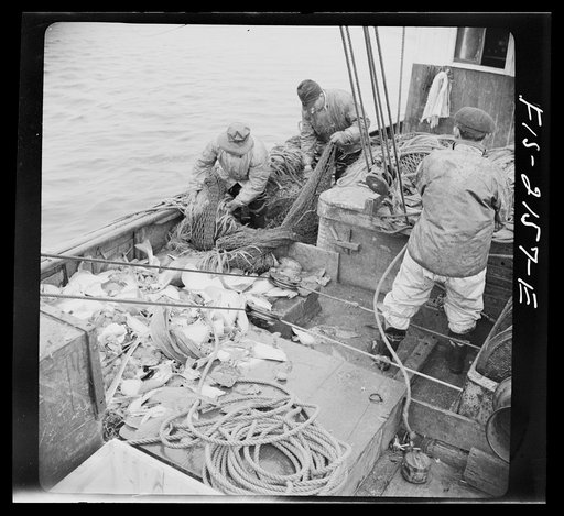 Untitled photo, possibly related to: Provincetown, Massachusetts. Aboard the Frances and Marion, a Portuguese drag trawler, fishing off Cape Cod. The trawl coming aboard