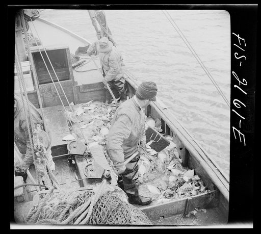 Untitled photo, possibly related to: Provincetown, Massachusetts. Aboard the Frances and Marion, a Portuguese drag trawler, fishing off Cape Cod. The trawl coming aboard