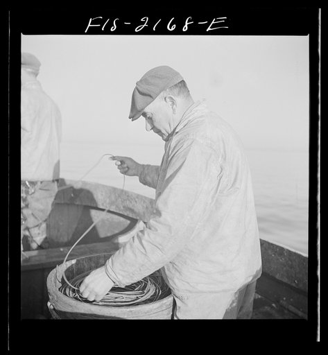 Untitled photo, possibly related to: Hauling in the trawl aboard a Portuguese fishing dory off Cape Cod, Massachusetts
