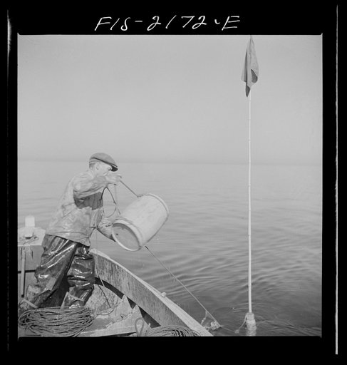 Throwing overboard barrel float which supports trawl off Cape Cod, Massachusetts