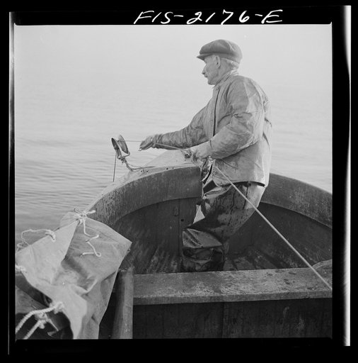 Hauling in the trawl aboard a Portuguese dory boat off Cape Cod, Massachusetts