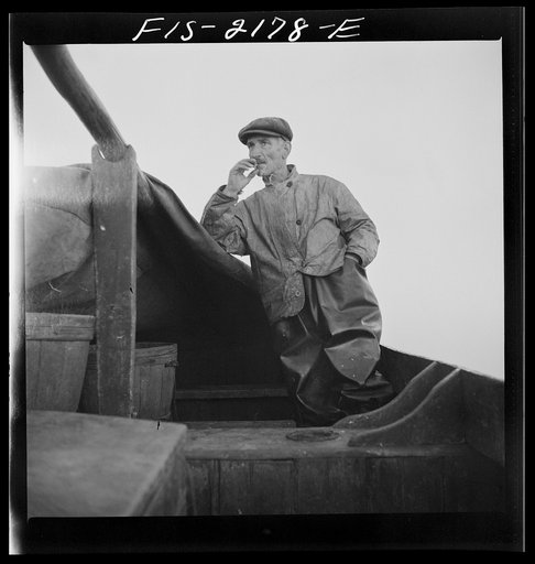 Untitled photo, possibly related to: Hauling in a cod aboard a Portuguese fishing dory off Cape Cod, Massachusetts