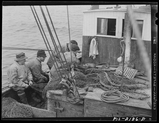 Untitled photo, possibly related to: Provincetown, Massachusetts. Aboard the Frances and Marion, a Portuguese drag trawler, fishing off Cape Cod. All hands hauling in the trawl