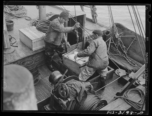 Provincetown, Massachusetts. Fish going aloft to the fish dock for delivery by truck to Boston