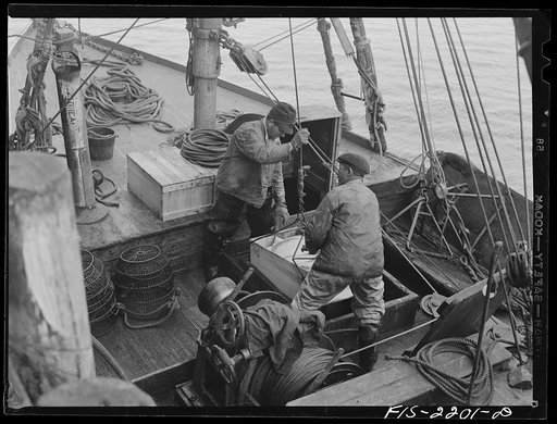Provincetown, Massachusetts. Fish going aloft to the fish dock for delivery by truck to Boston