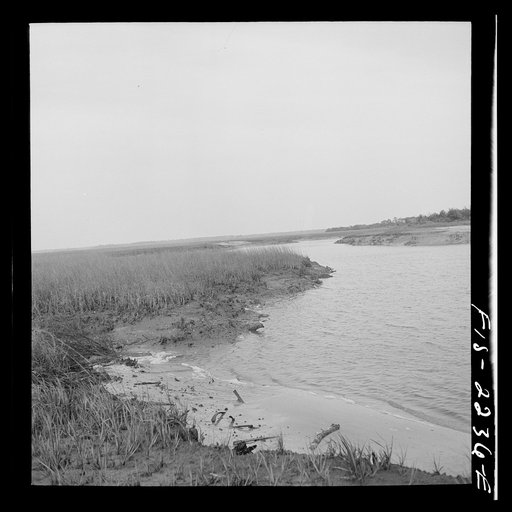 Parris Island, South Carolina. A scene along the shore near the U.S. Marine Corps glider detachment training camp