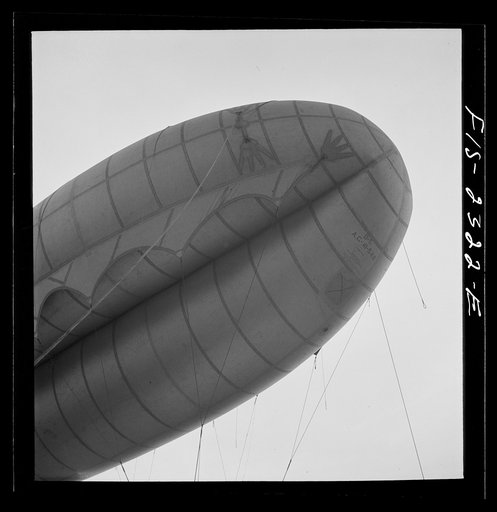 Untitled photo, possibly related to: Camp Lejeune, New River, North Carolina. A view of the barrage balloon, showing the curtain and the finger patches to which they attach handling lines
