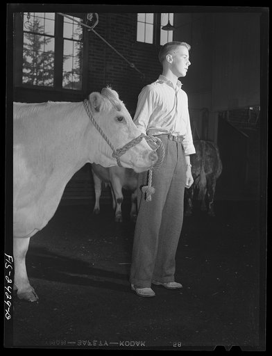Jack Hart, a sophmore in Animal Husbandry, in Professor A.F. LaGrange's class, which was discussing breeds of cattle. Hart comes from Texas, where his father has a large cattle business. Iowa State College. Ames, Iowa