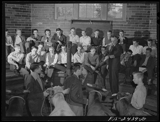Professor A.F. LaGrange with his sophmore class in animal husbandry. They are examining some purebreed shorthorns in their study of breeds of cattle. Out of his class of thirty-two, only six do not live on farms. About half the class come from outside the state of Iowa. Some of the states represente
