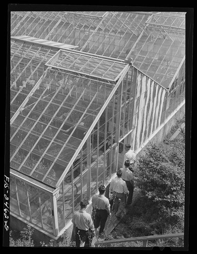 Professor Schilletter taking a class of freshman Horticulture students into a greenhouse. Iowa State College. Ames, Iowa