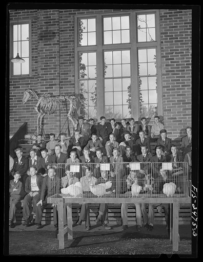 High school students listening to a lecture during the Iowa High School Agricultural Congress. Iowa State College. Ames, Iowa