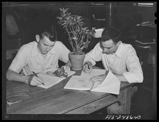 Untitled photo, possibly related to: Bob J. Sanders, left, from Burlington, Iowa and Vernon Schulke, from a farm in Aurelia, Iowa in a freshman horticulture class. Both are majoring in Agriculture Education. Iowa State College. Ames, Iowa