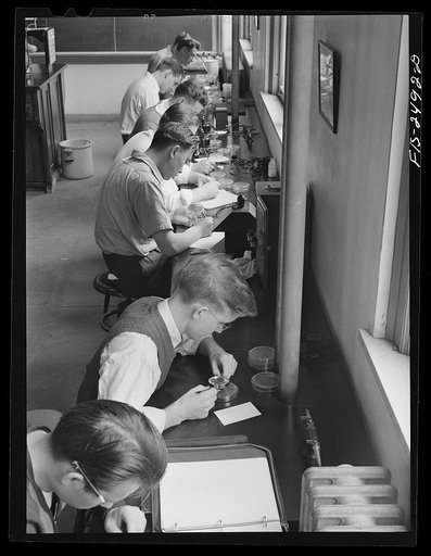 A senior class in bacteriology in the dairy building at Iowa State College. Students are counting the bacteria in milk before and after pasteurization. Ames, Iowa