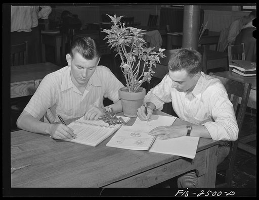 Bob J. Sanders, left, from Burlington, Iowa and Vernon Schulke, from a farm in Aurelia, Iowa in a freshman horticulture class. Both are majoring in Agriculture Education. Iowa State College. Ames, Iowa
