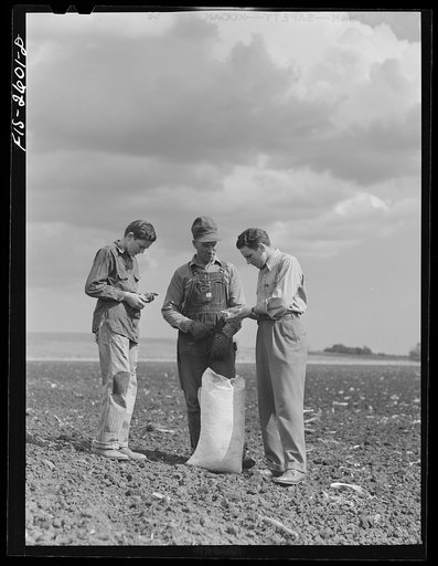 Gene examines a new type of seed his father is using this year. With them is Gene's brother, Dale (fourteen). Near Ames, Iowa