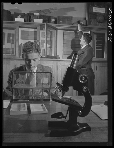 Untitled photo, possibly related to: Edward Clarke, a senior in Forestry, weighing specimens of wood. Iowa State College. Ames, Iowa
