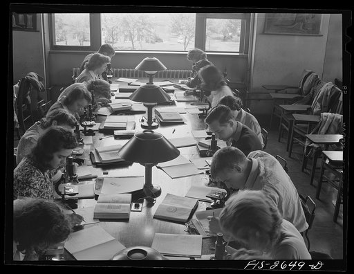 Untitled photo, possibly related to: A freshman zoology class at Iowa State College. Ames, Iowa