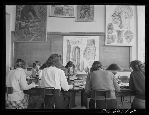 Zoology class in the science building at Iowa State College. Ames, Iowa