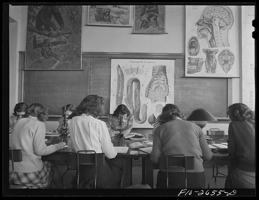 Untitled photo, possibly related to: Zoology class in the science building at Iowa State College. Ames, Iowa