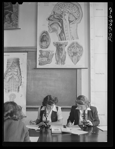Zoology class in the science building at Iowa State College. Ames, Iowa