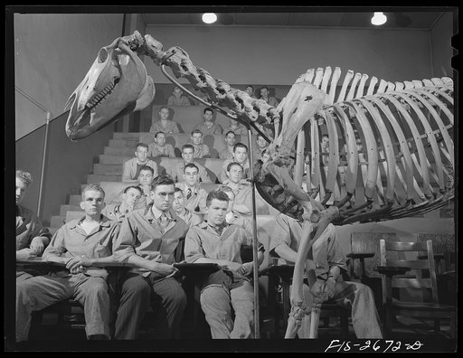 Anatomy lecture in veterinary school at Iowa State College. Ames, Iowa