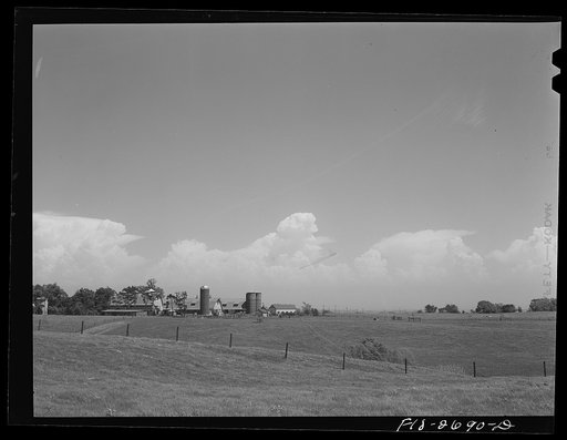 Untitled photo, possibly related to: The dairy husbandry farm at Iowa State College, used for both teaching and experimental purposes. Ames, Iowa