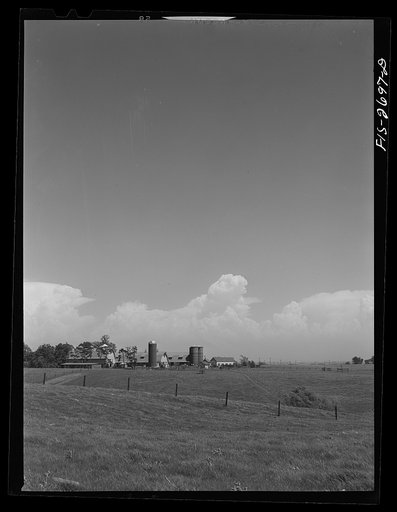 The dairy husbandry farm at Iowa State College, used for both teaching and experimental purposes. Ames, Iowa