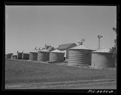 Storage barns on the agriculture engineering research farm used in investigations of storing corn. At Iowa State College. Ames, Iowa