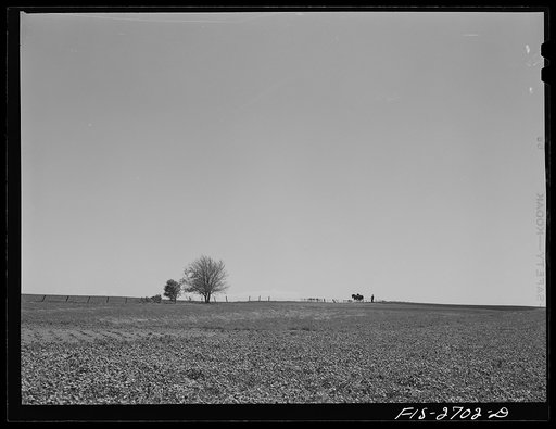 Part of the 216 acre agronomy farm at Iowa State College. Used for the study of problems connected with farm crops and soils. Ames, Iowa
