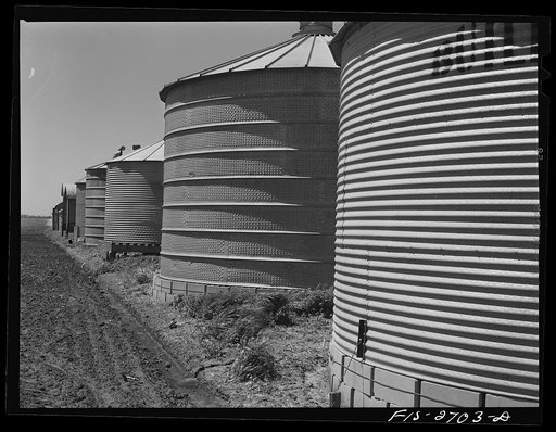 Storage barns on the agriculture engineering research farm used in investigations of methods of storing corn. At Iowa State College. Ames, Iowa