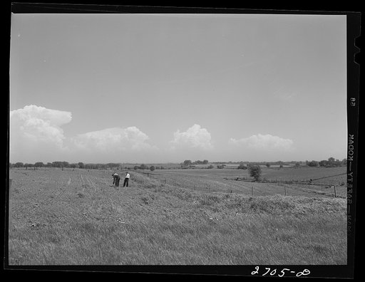 Untitled photo, possibly related to: Agronomy students taking soil samples on the animal husbandry farm at Iowa State College. Ames, Iowa