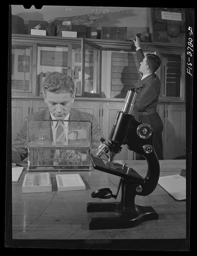Edward Clarke, a senior in Forestry, weighing specimens of wood. Iowa State College. Ames, Iowa
